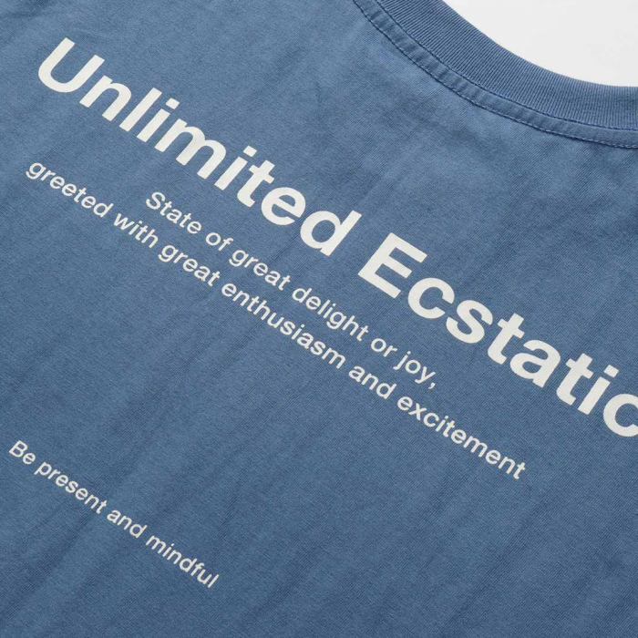 Unlimited-Ecstatic-Typography-D-steal-blue
